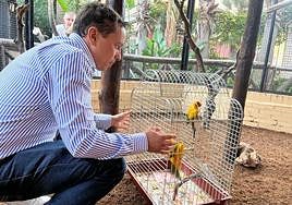 El edil Carlos Ferrón, junto a una pareja de loros.