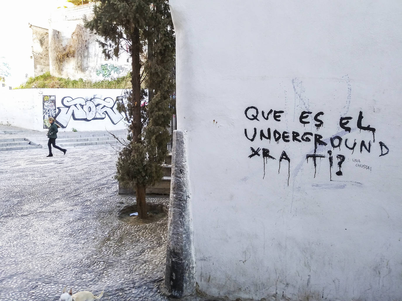 Preguntas sin respuesta.