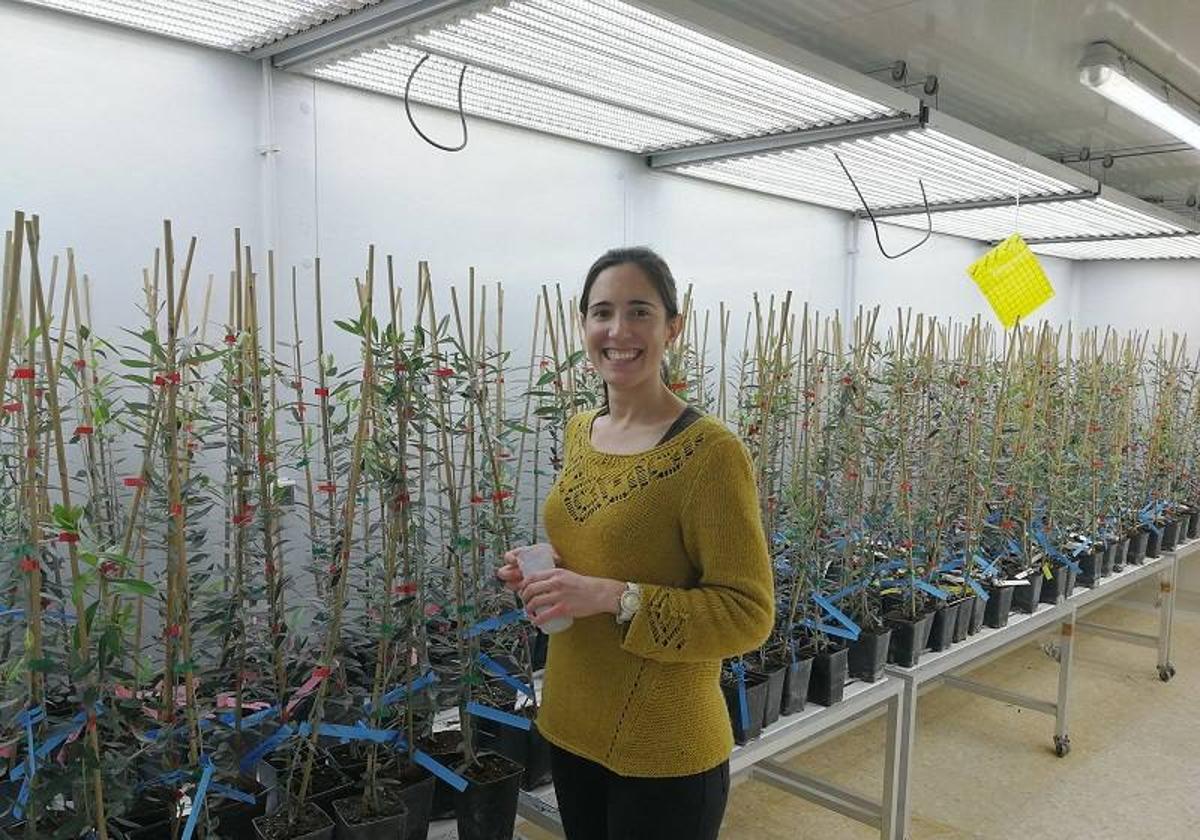 La investigadora de la Universidad de Jaén Alicia Serrano, autora del artículo.