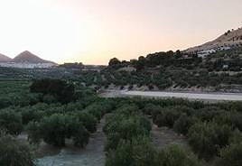 Trabajos en la parcela donde se construye la planta de secado de estiércol.