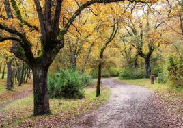 Otoño en el campo.