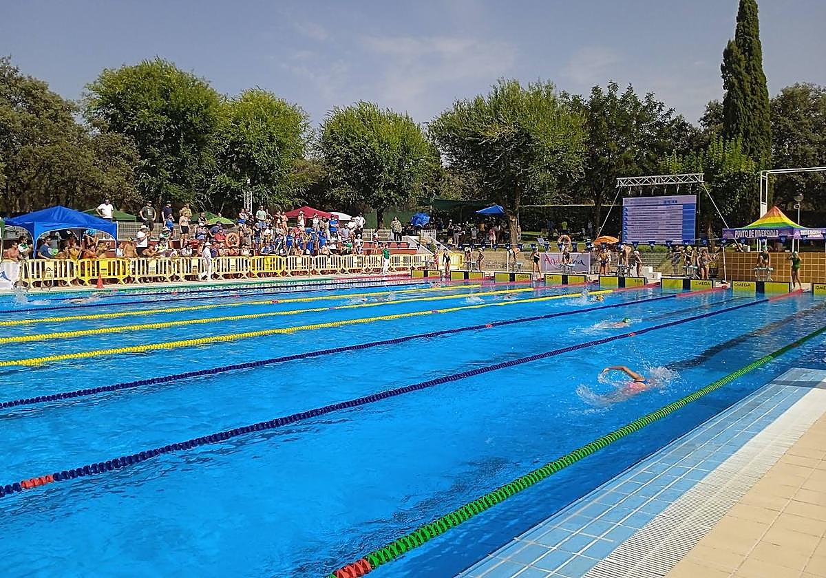 Momento de la celebración del XXXIII Campeonato de Andalucía de Jóvenes Nadadores.
