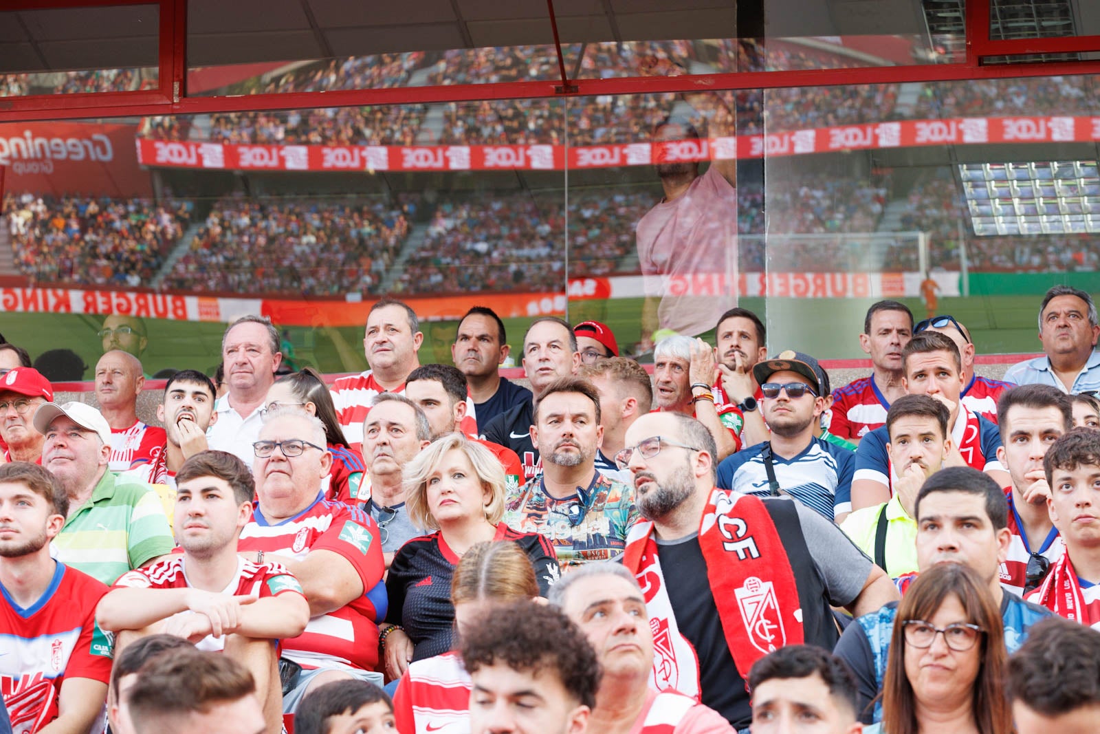 Búscate en la grada de Los Cármenes durante el Granada-Betis