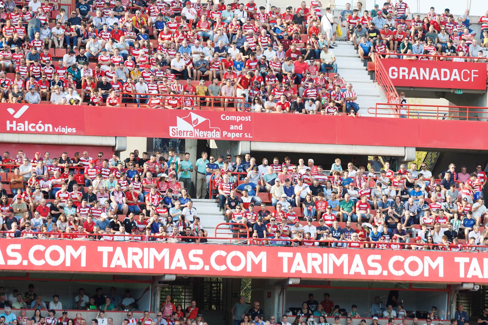 Búscate en la grada de Los Cármenes durante el Granada-Betis