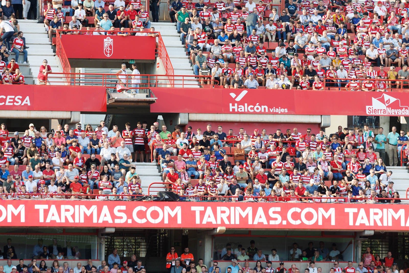 Búscate en la grada de Los Cármenes durante el Granada-Betis