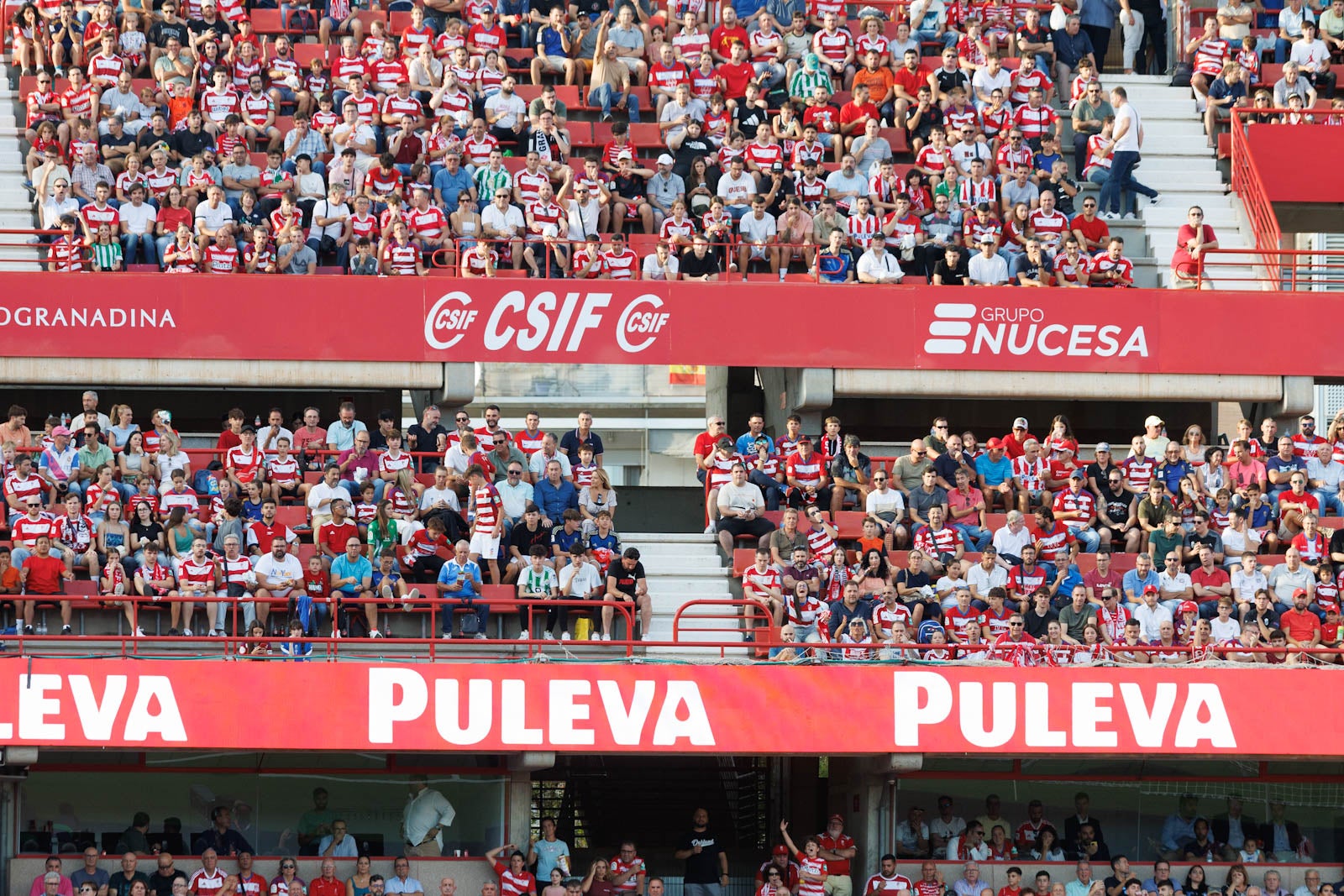 Búscate en la grada de Los Cármenes durante el Granada-Betis