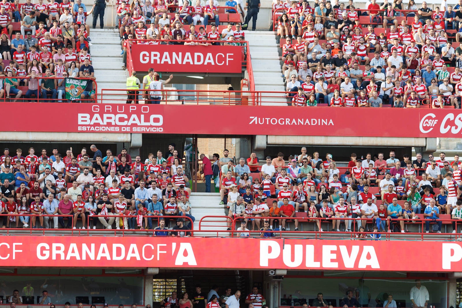 Búscate en la grada de Los Cármenes durante el Granada-Betis