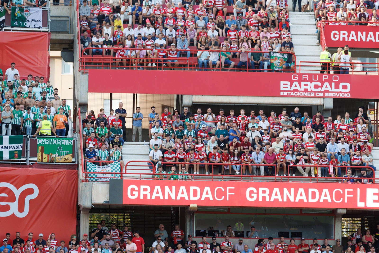 Búscate en la grada de Los Cármenes durante el Granada-Betis