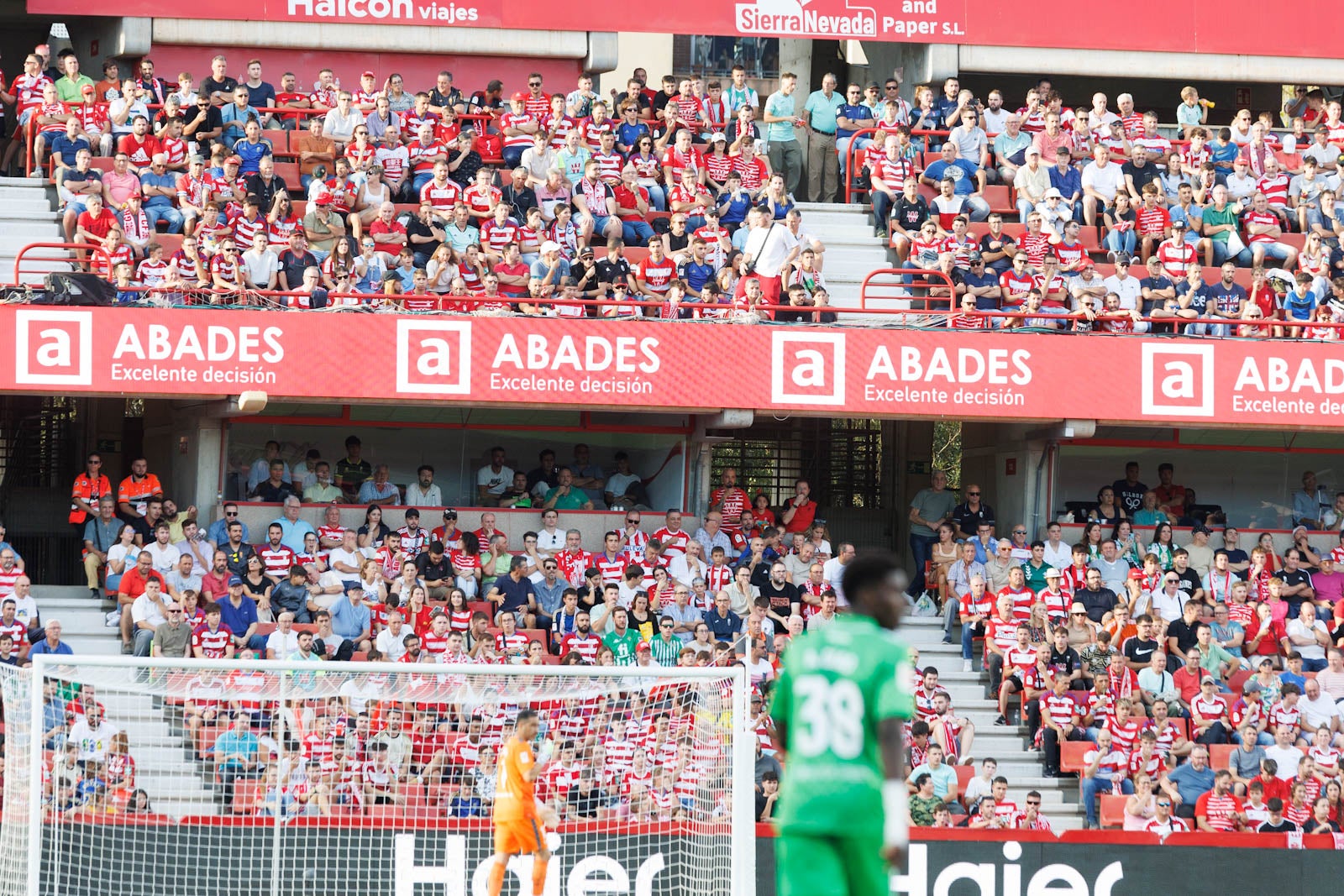 Búscate en la grada de Los Cármenes durante el Granada-Betis