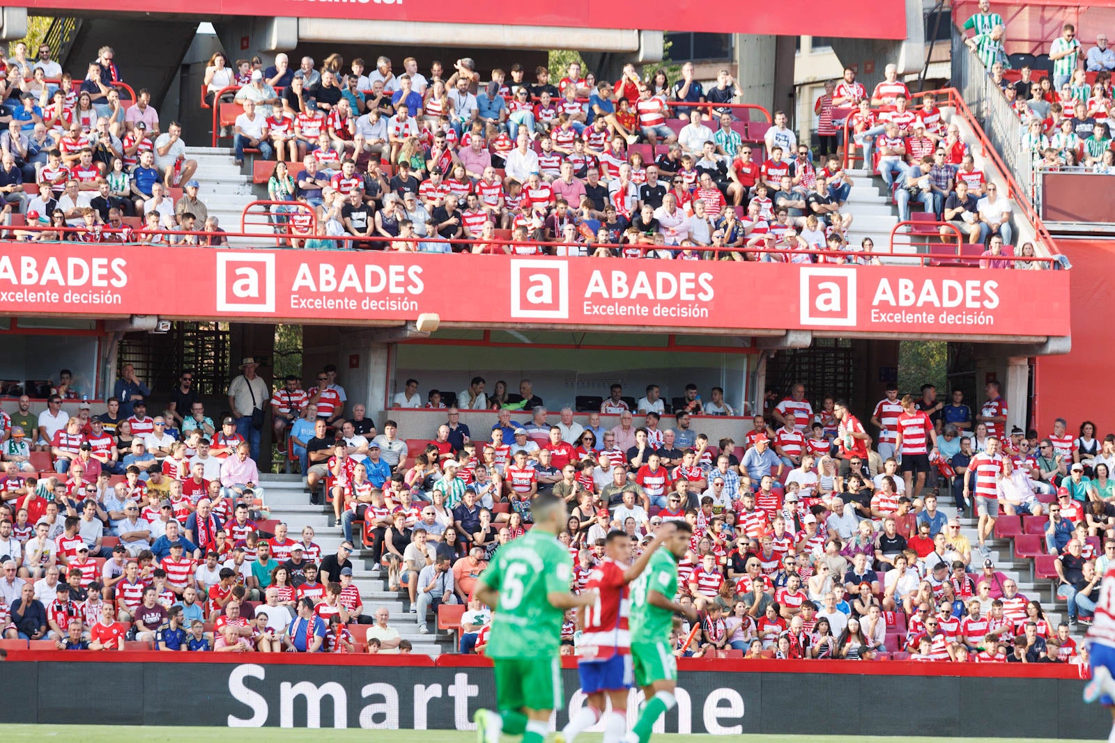 Búscate en la grada de Los Cármenes durante el Granada-Betis