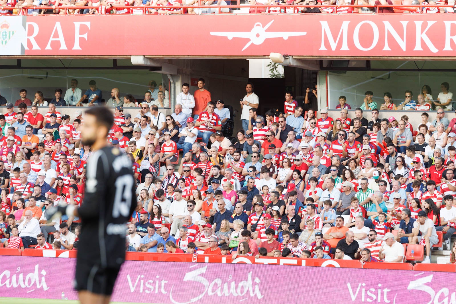 Búscate en la grada de Los Cármenes durante el Granada-Betis