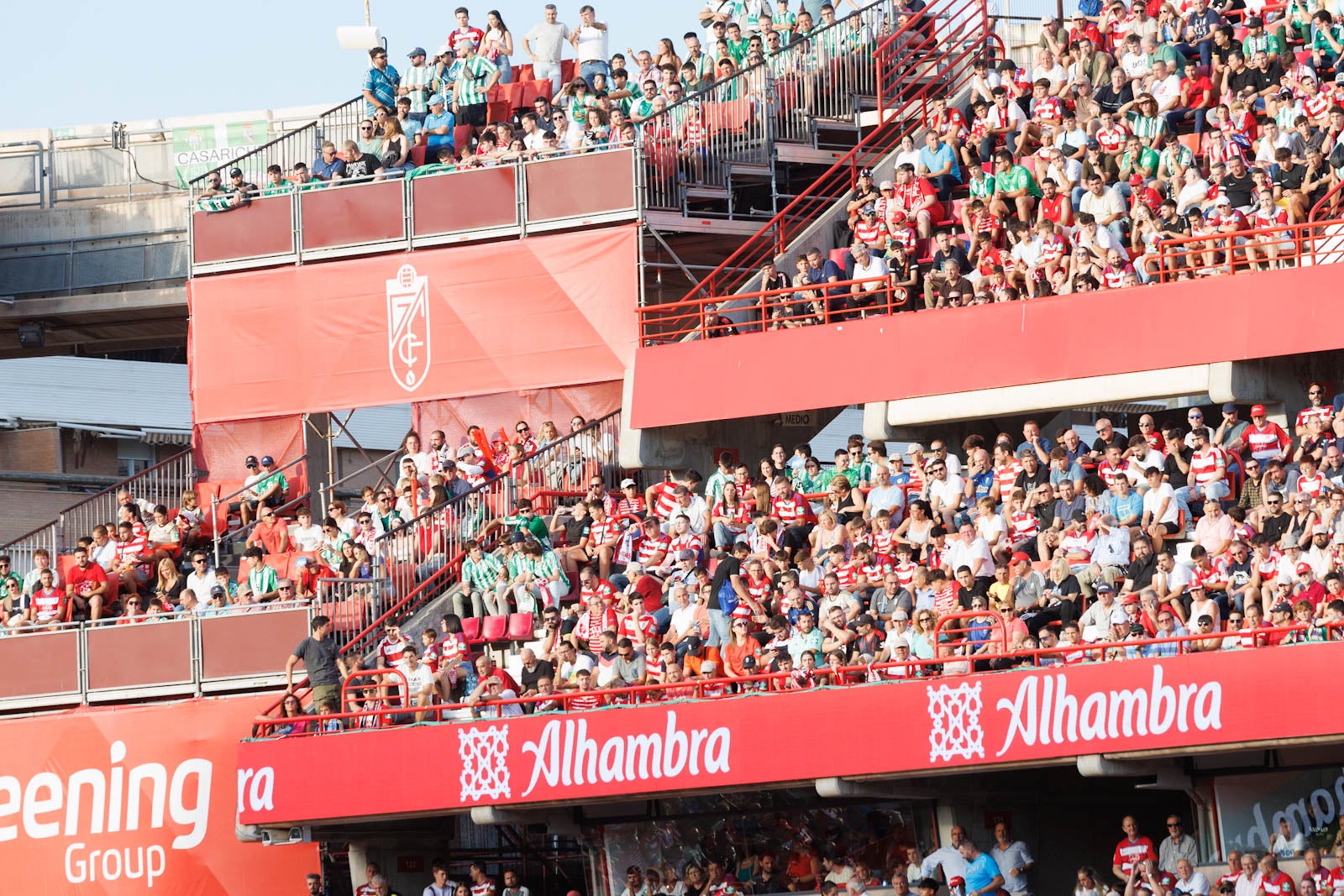 Búscate en la grada de Los Cármenes durante el Granada-Betis