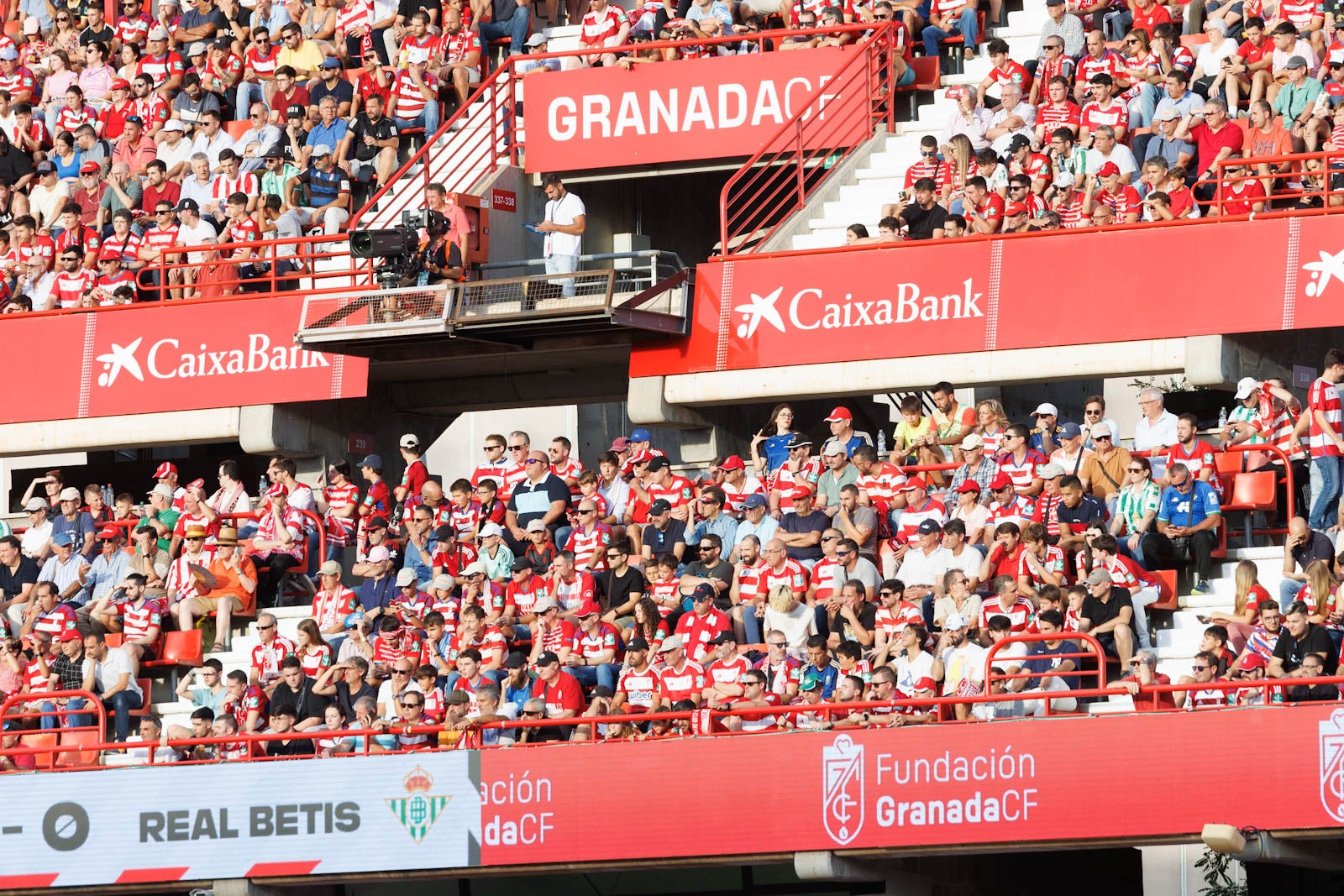 Búscate en la grada de Los Cármenes durante el Granada-Betis