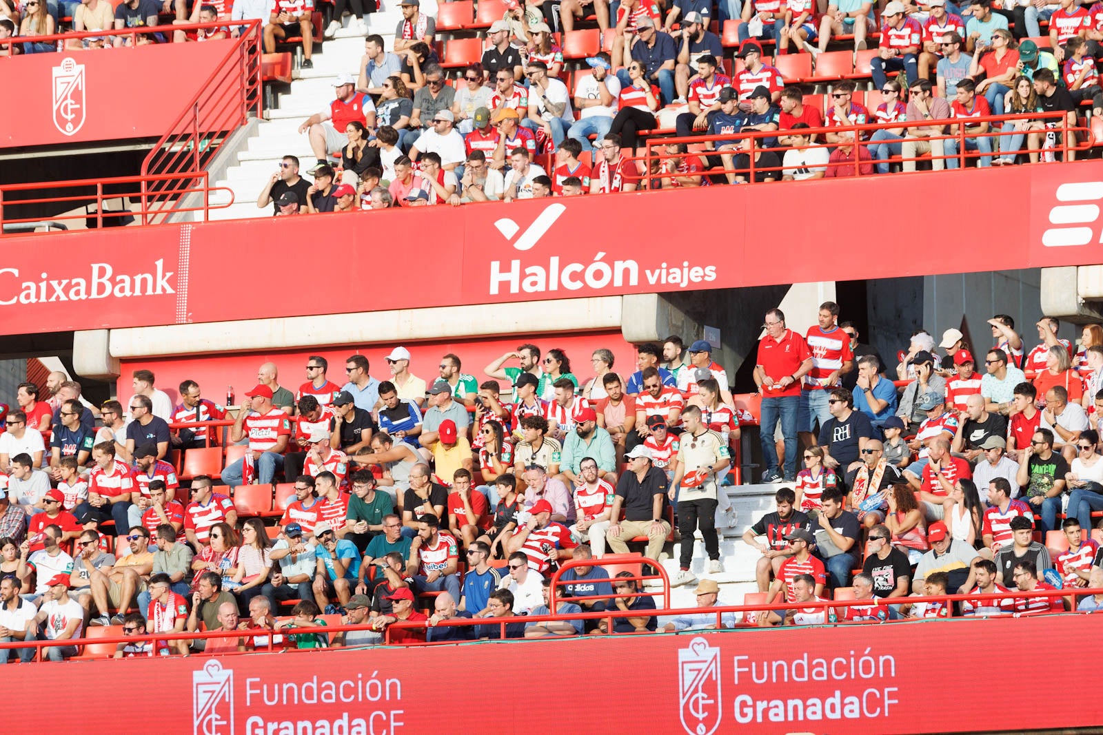 Búscate en la grada de Los Cármenes durante el Granada-Betis