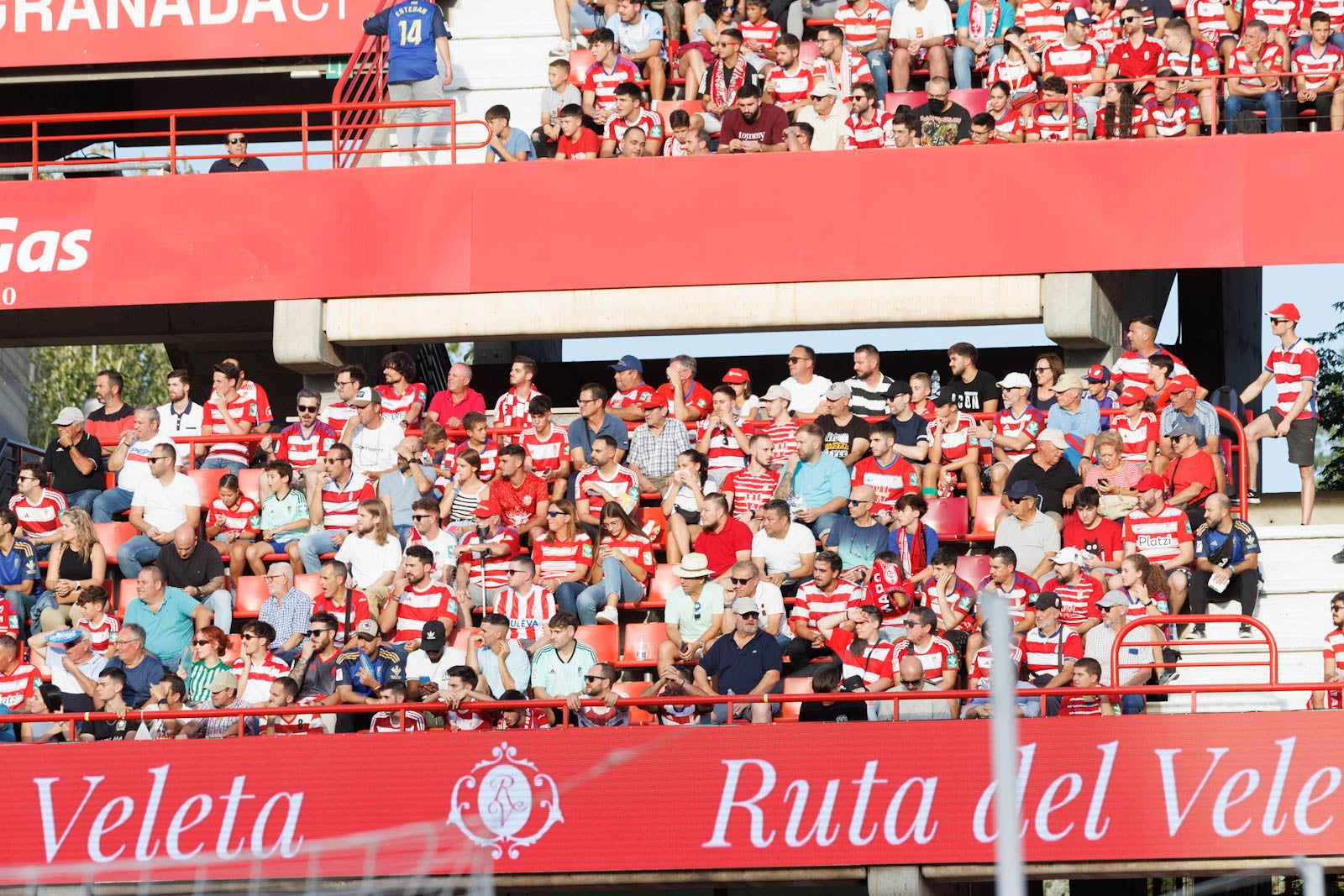 Búscate en la grada de Los Cármenes durante el Granada-Betis