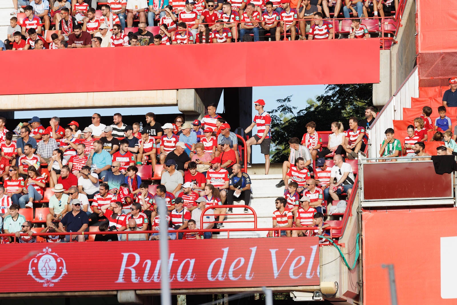 Búscate en la grada de Los Cármenes durante el Granada-Betis