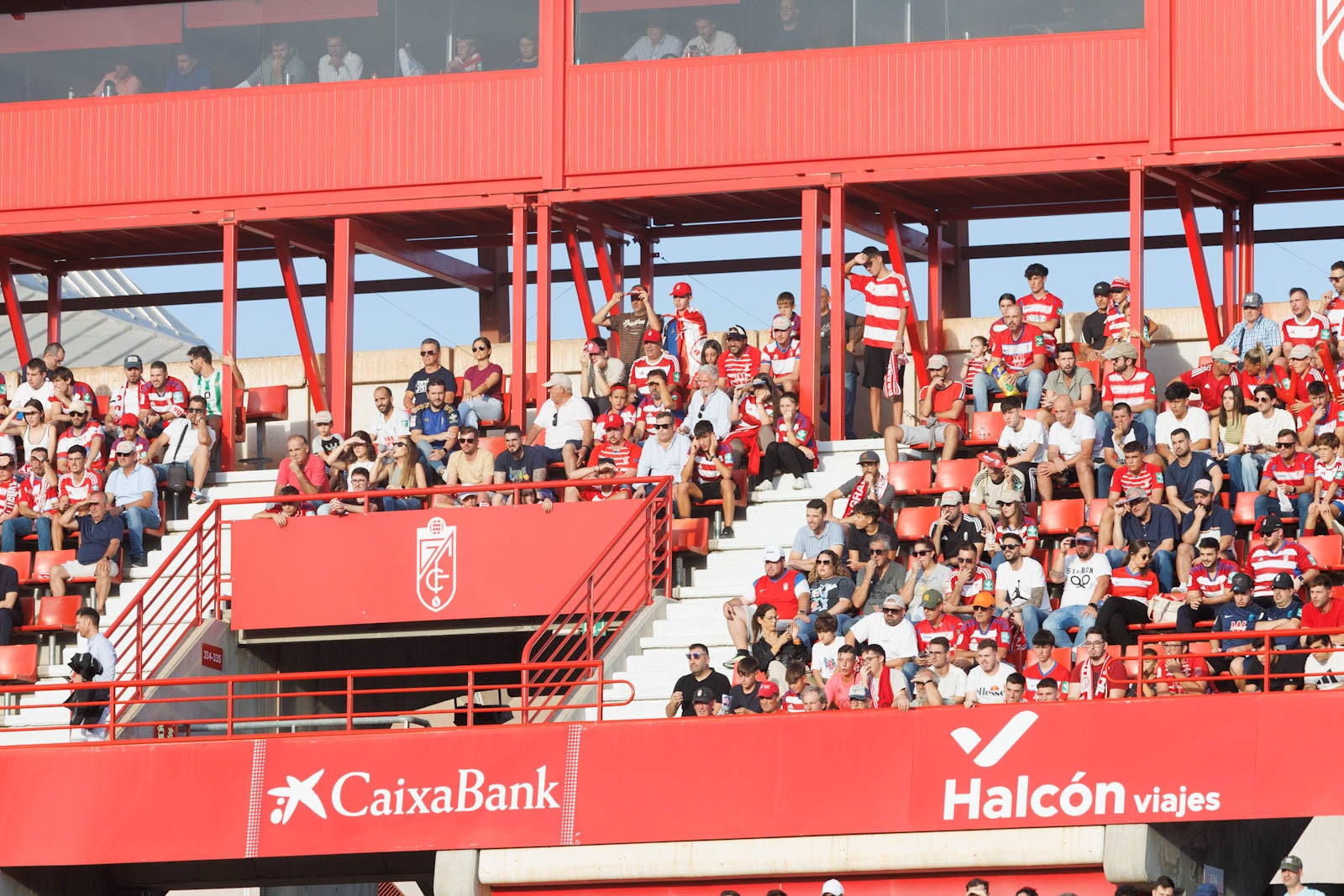 Búscate en la grada de Los Cármenes durante el Granada-Betis