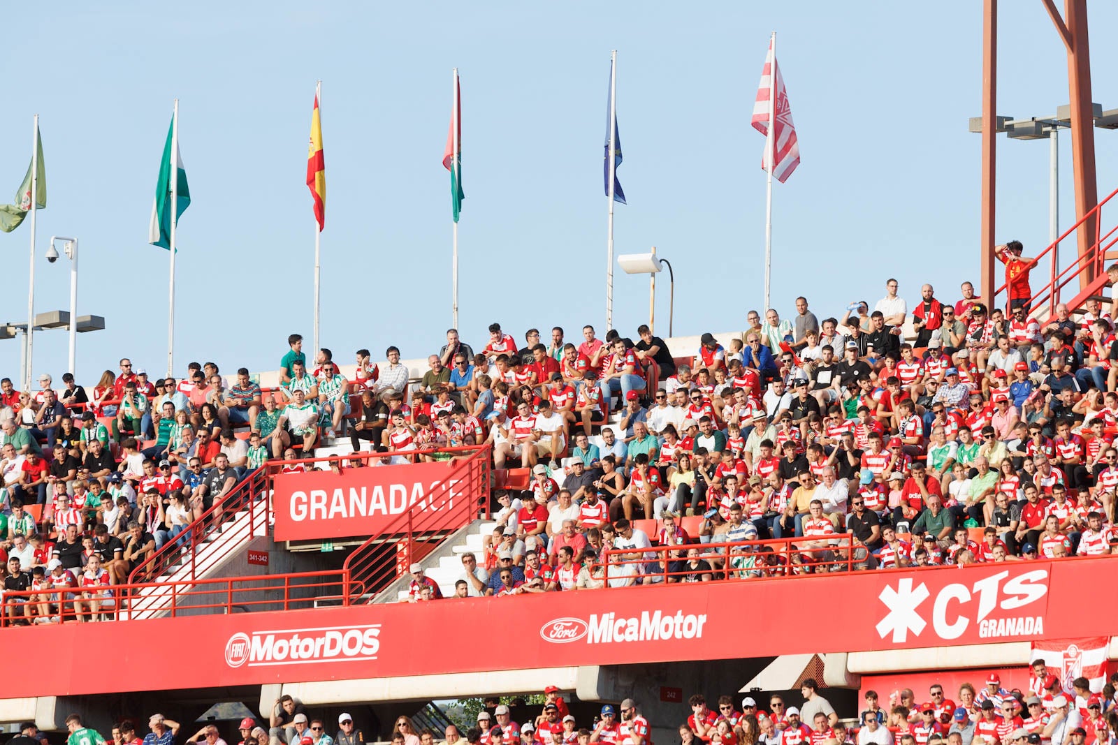 Búscate en la grada de Los Cármenes durante el Granada-Betis