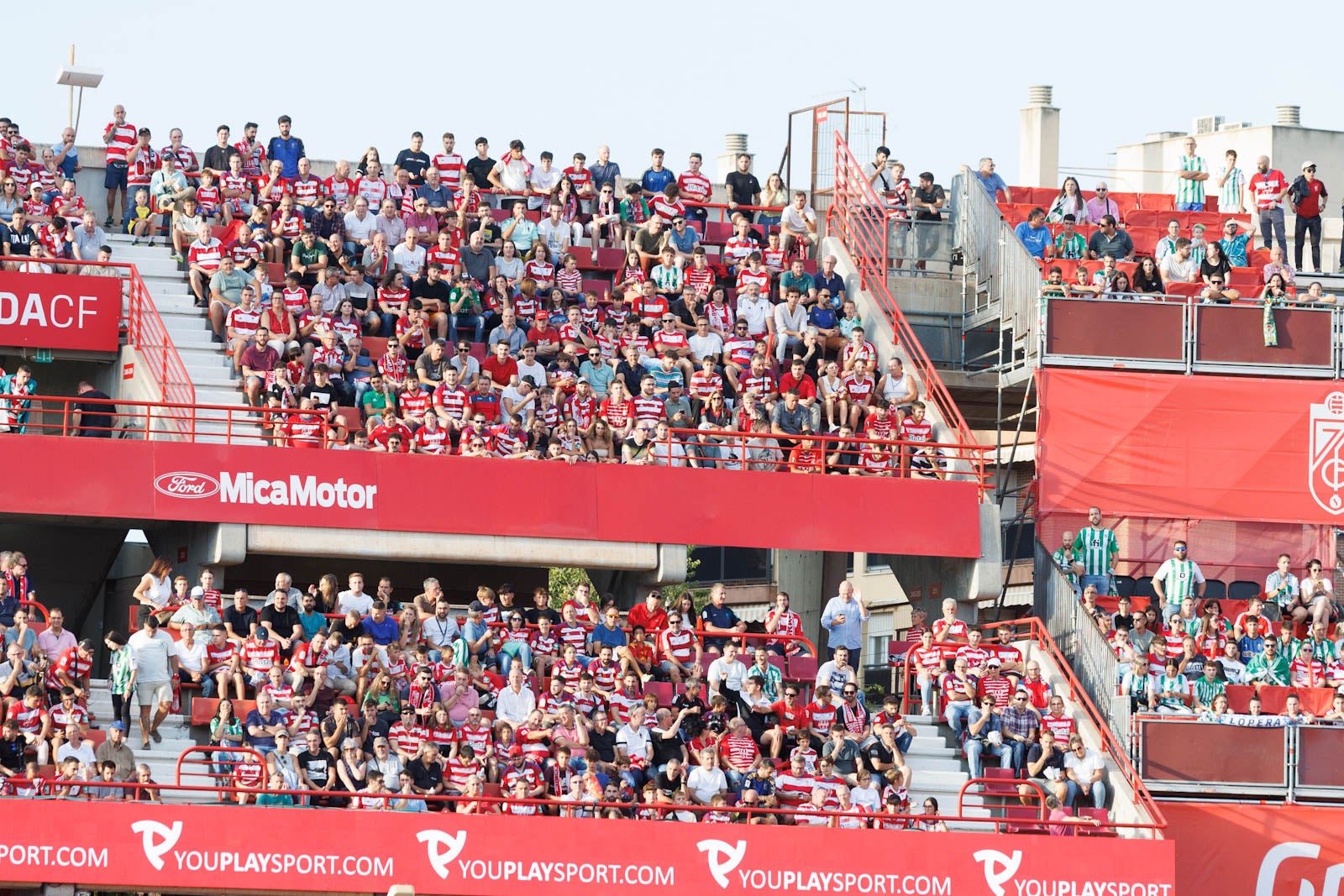 Búscate en la grada de Los Cármenes durante el Granada-Betis