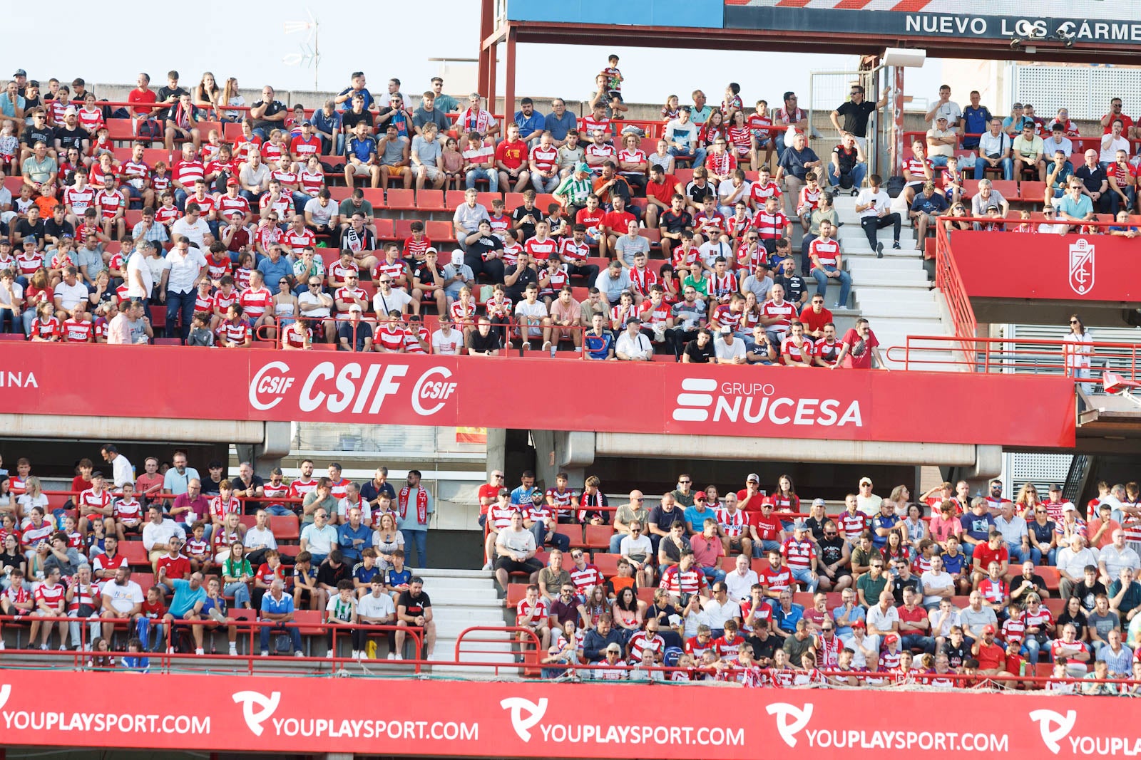 Búscate en la grada de Los Cármenes durante el Granada-Betis
