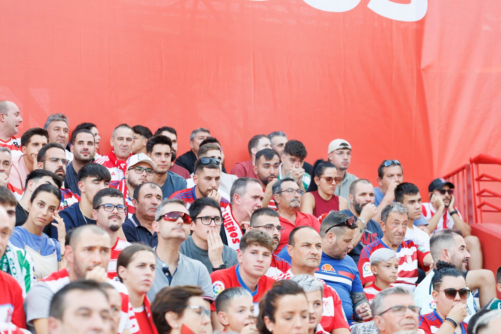 Búscate en la grada de Los Cármenes durante el Granada-Betis