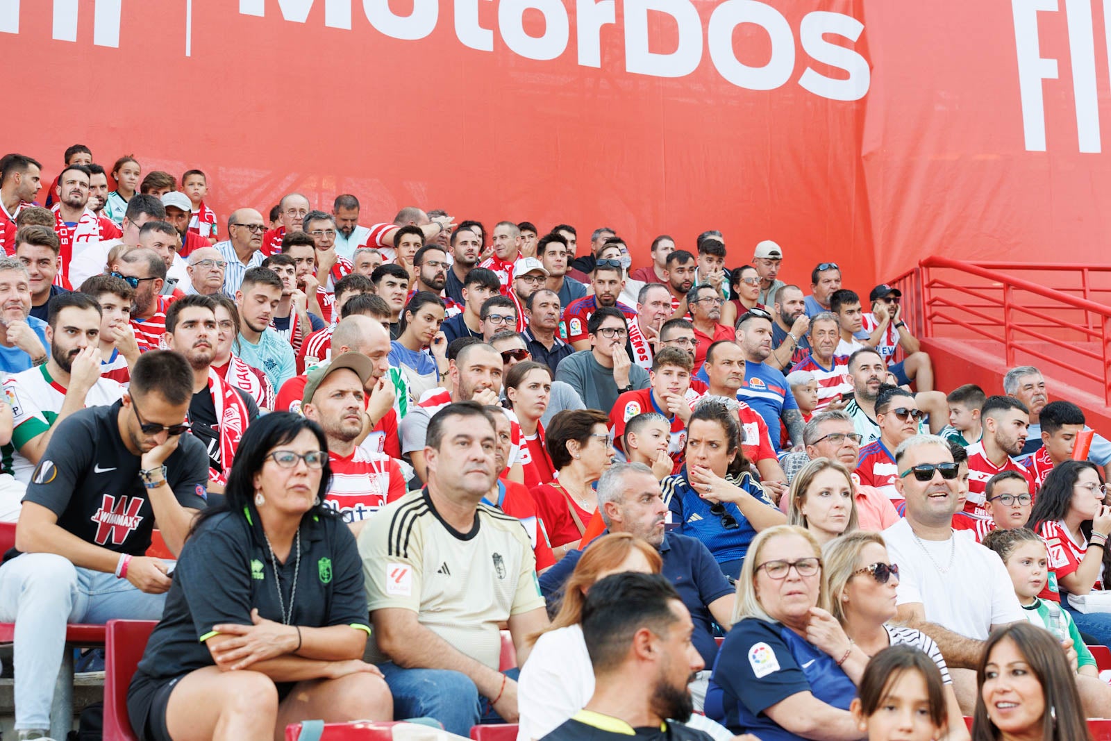 Búscate en la grada de Los Cármenes durante el Granada-Betis