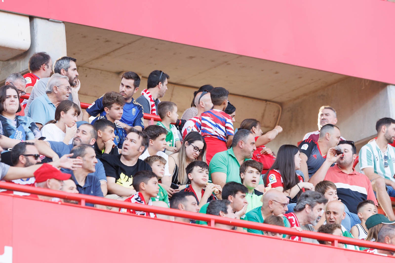 Búscate en la grada de Los Cármenes durante el Granada-Betis