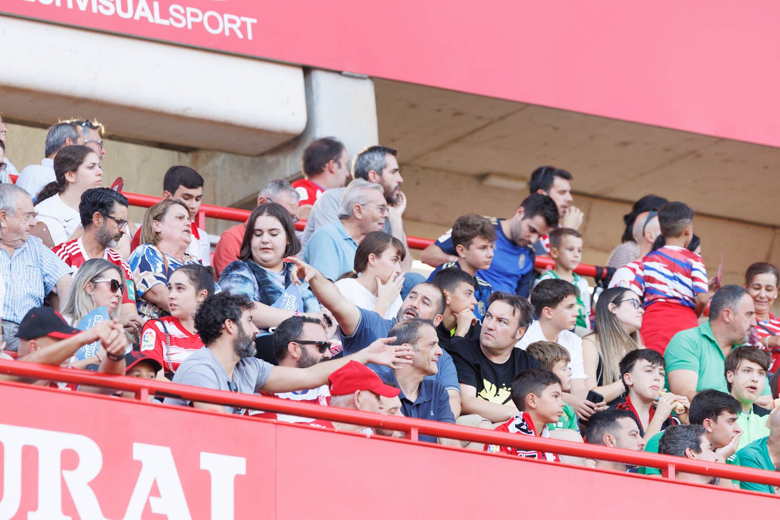 Búscate en la grada de Los Cármenes durante el Granada-Betis