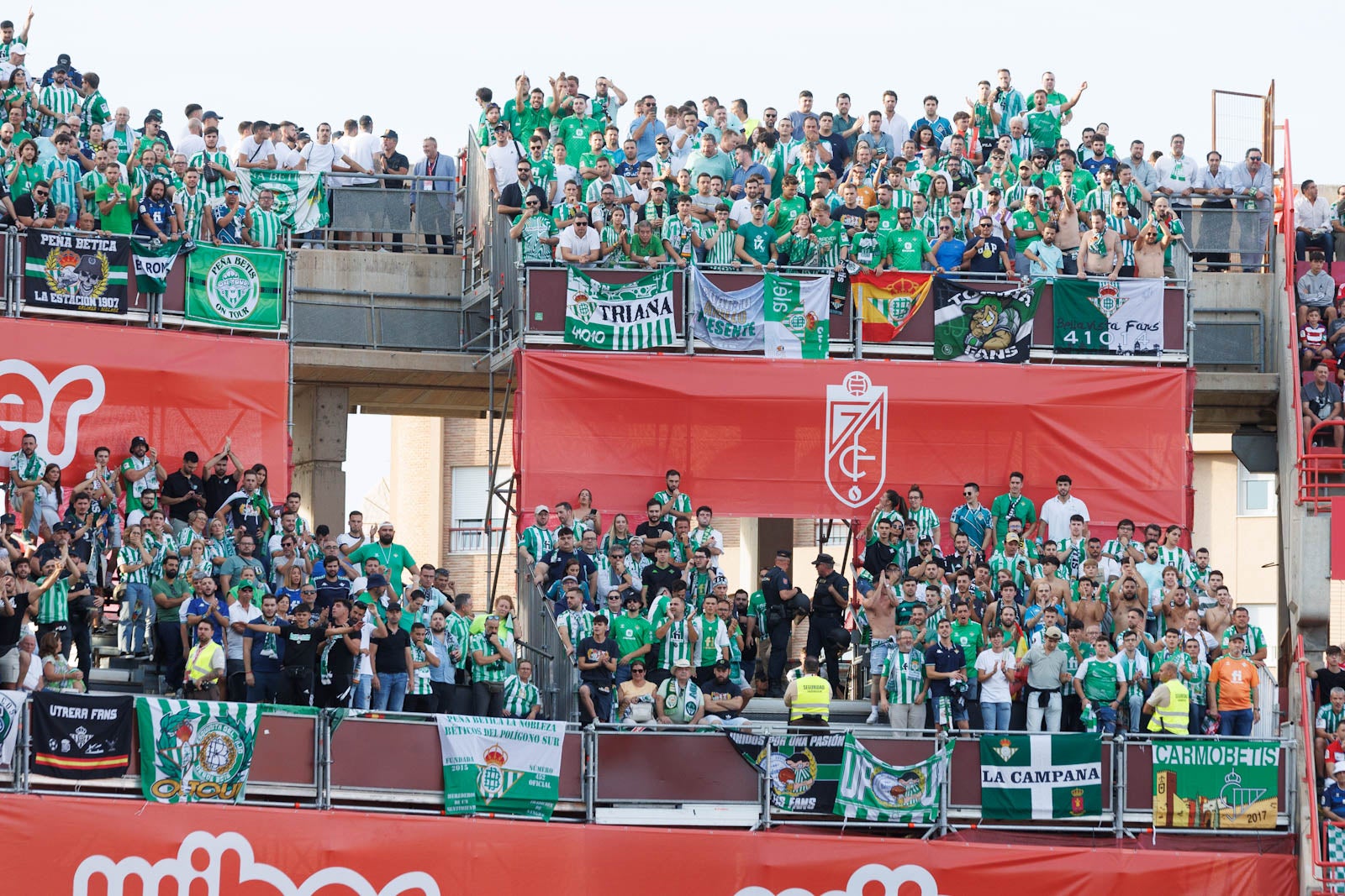 Búscate en la grada de Los Cármenes durante el Granada-Betis