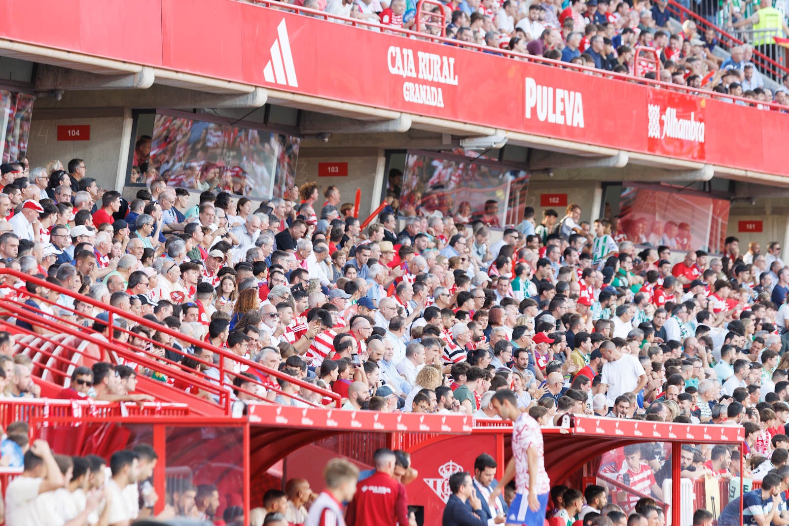 Búscate en la grada de Los Cármenes durante el Granada-Betis
