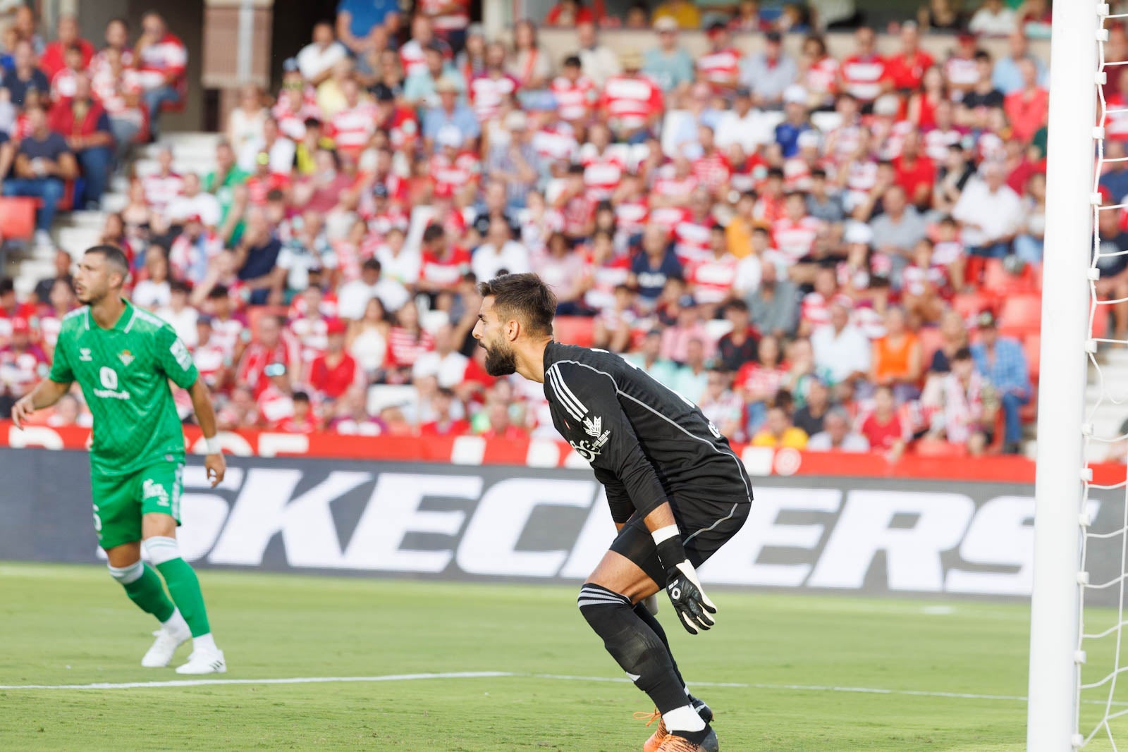 Búscate en la grada de Los Cármenes durante el Granada-Betis