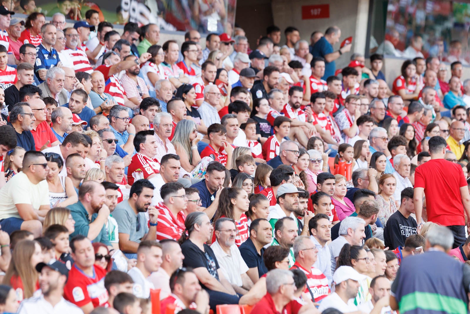 Búscate en la grada de Los Cármenes durante el Granada-Betis