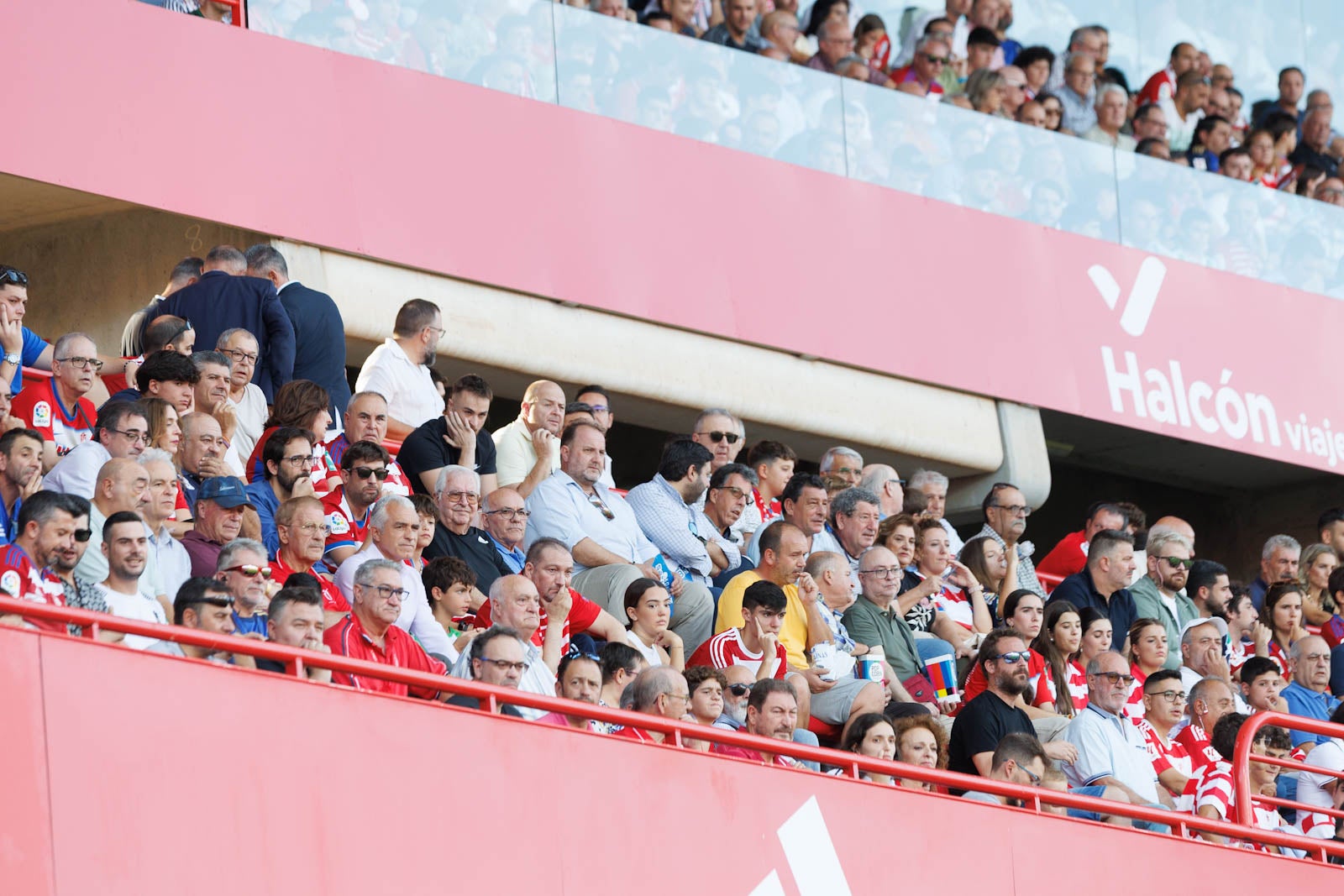 Búscate en la grada de Los Cármenes durante el Granada-Betis