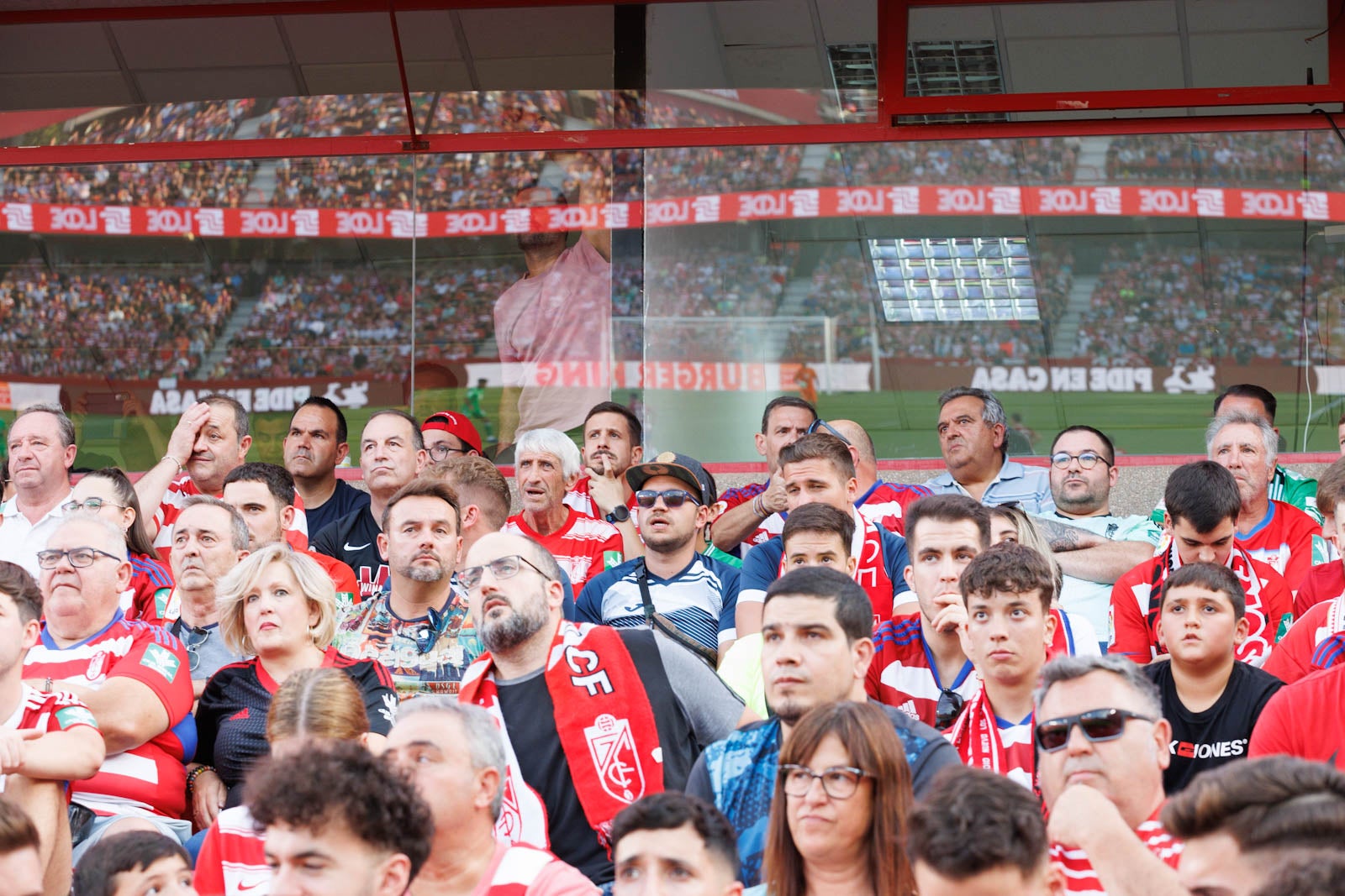 Búscate en la grada de Los Cármenes durante el Granada-Betis