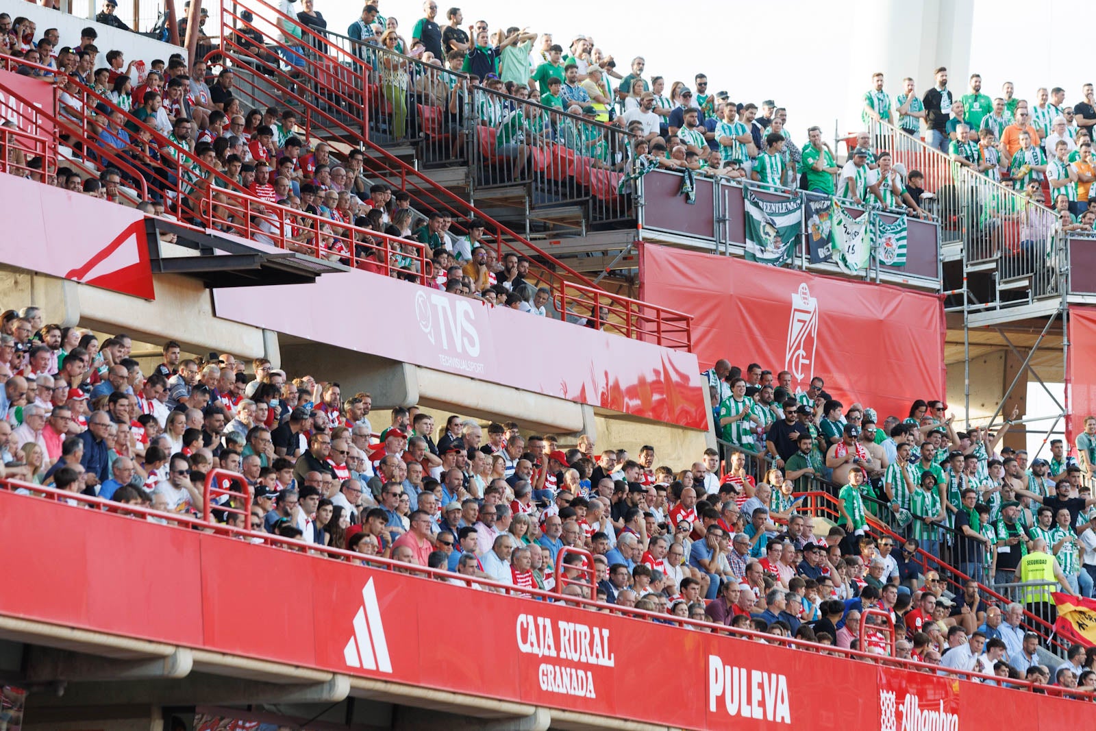 Búscate en la grada de Los Cármenes durante el Granada-Betis