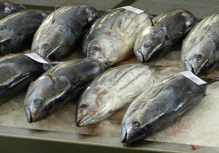 Aviso de Sanidad: estos son los pescados con más mercurio de España