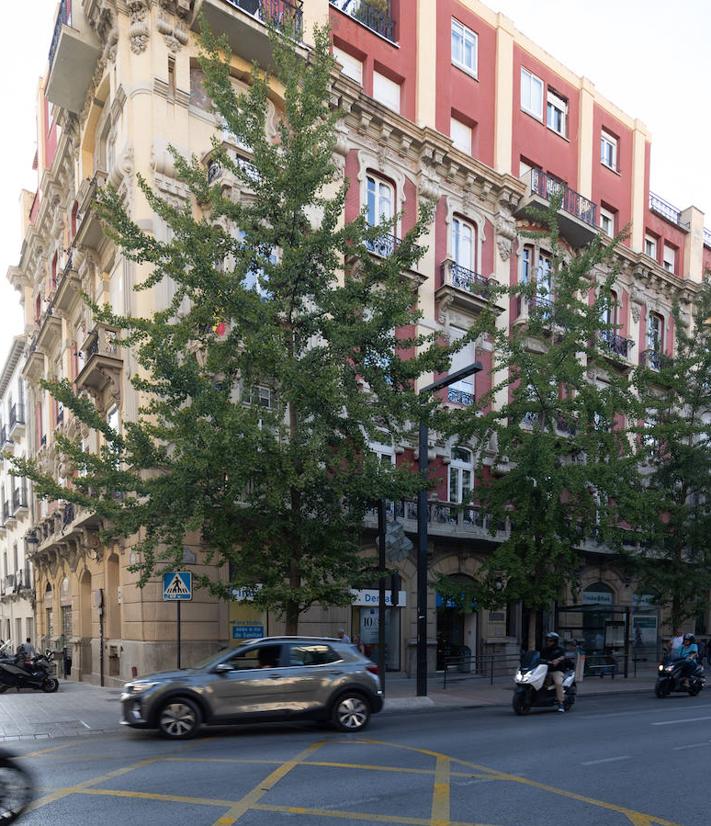 Imagen secundaria 2 - Tres de los magníficos edificios que flanquean la Gran Vía de Granada.