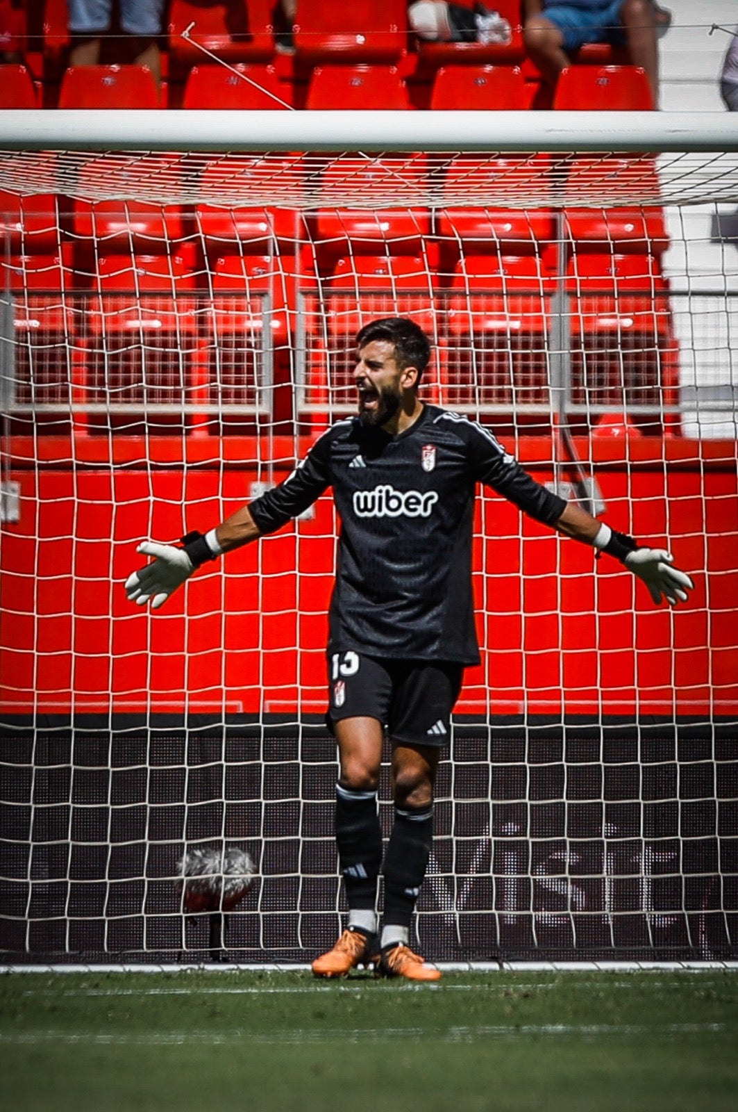 Las mejores imágenes del Almería - Granada