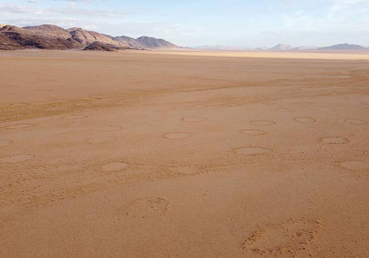 Círuclos de hadas sobre un suelo árido.