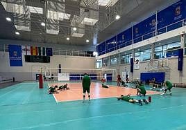 En la soledad del Moisés Ruiz se esconden las armas de Unicaja Costa de Almería.