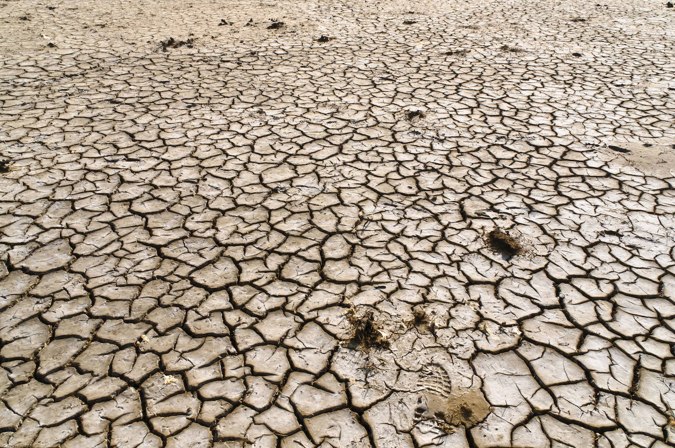El Papa y sus preocupaciones sobre el cambio climático