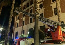 Intervención de los bomberos en las palmeras.