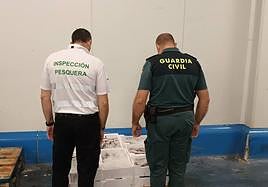 La actuación se ha hecho en el marco del plan Paciap.