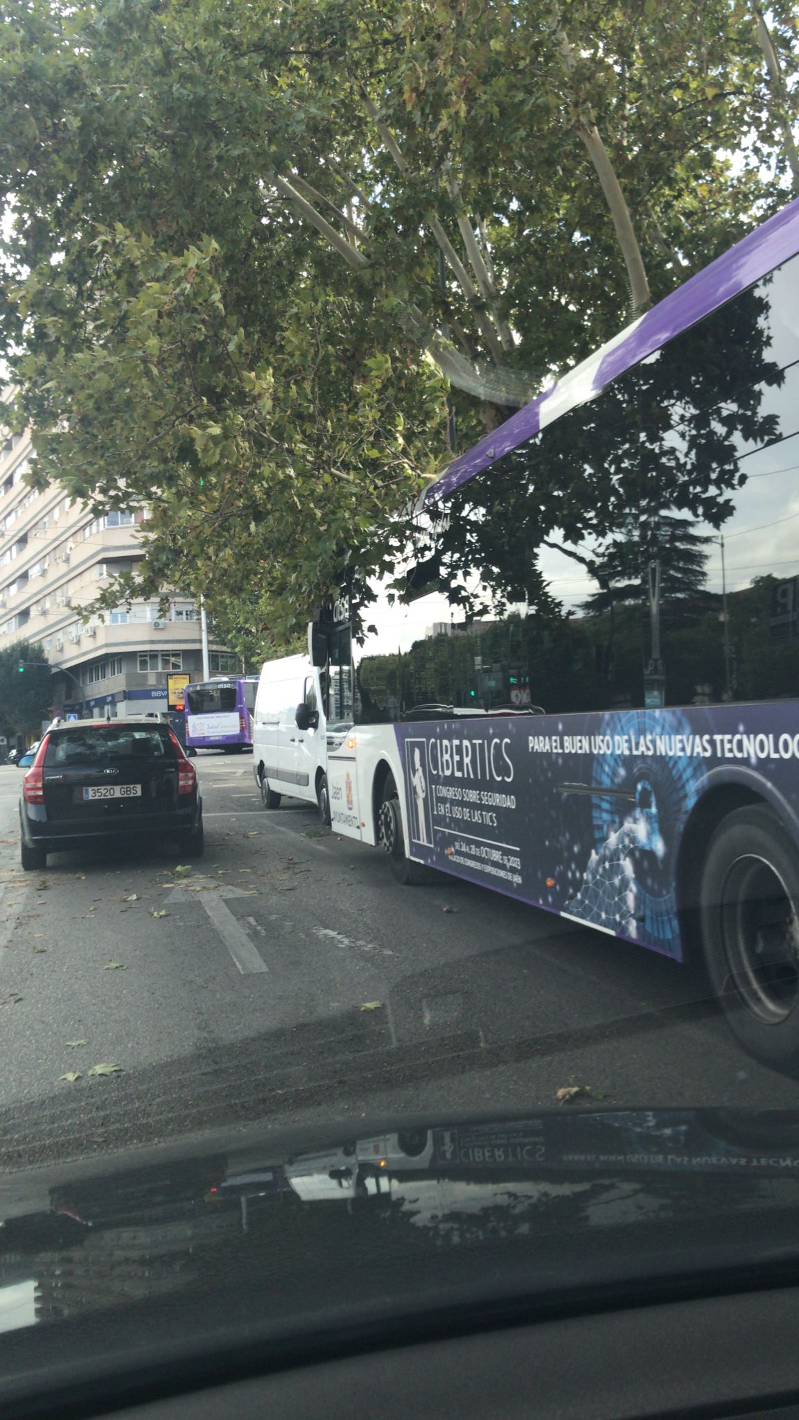 Caída de una rama sobre un autobús de Alsa en la esquina del Museo Íbero.