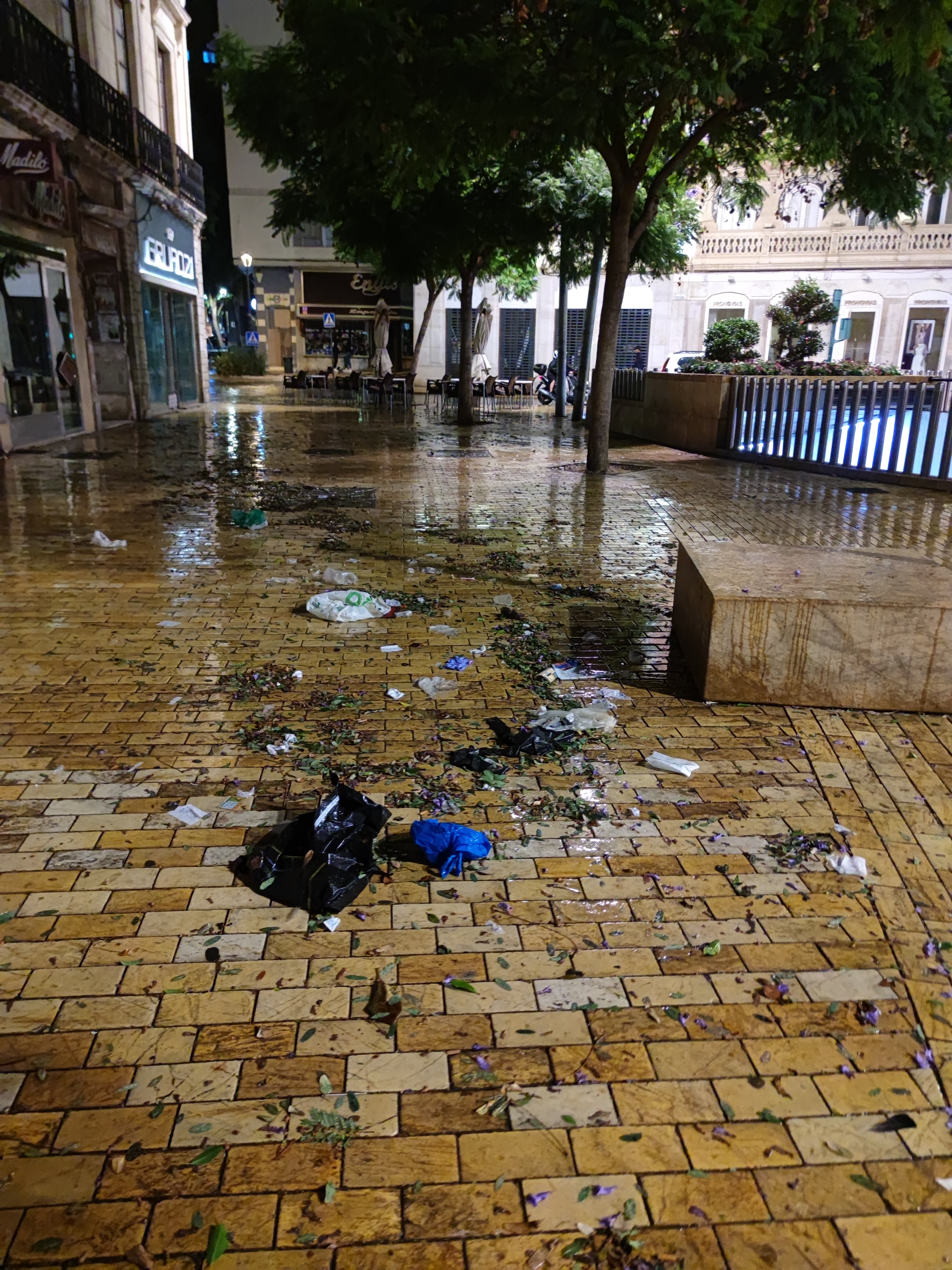 Imagen secundaria 2 - Imágenes de la suciedad en el centro de Almería. D. R.