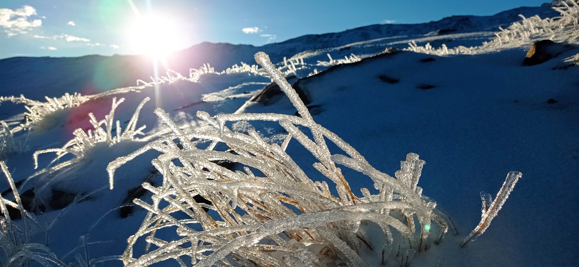 Las espectaculares imágenes de Sierra Nevada blanca