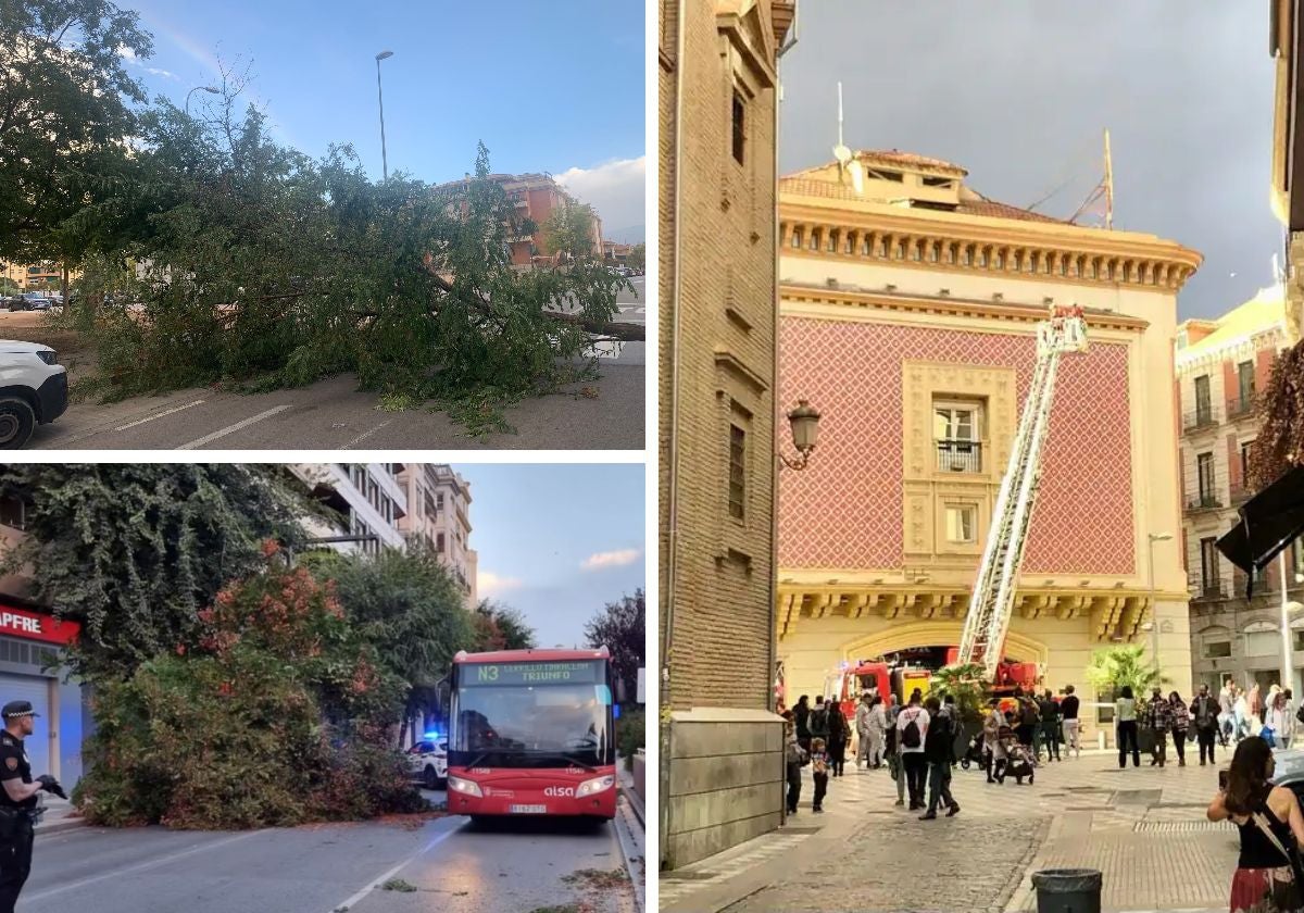 Árboles caídos y actuación en el edificio Aliatar.