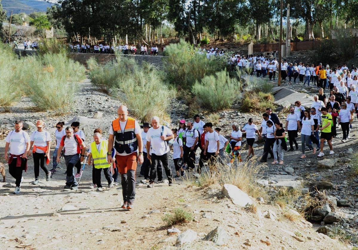 Órgiva camina contra el cáncer por la Ruta de los Olivos Centenarios