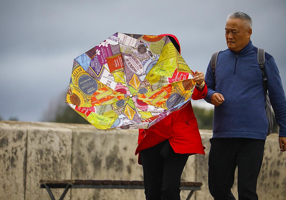 Una nueva borrasca trae fuertes lluvias y vientos de 90 km/h a Andalucía