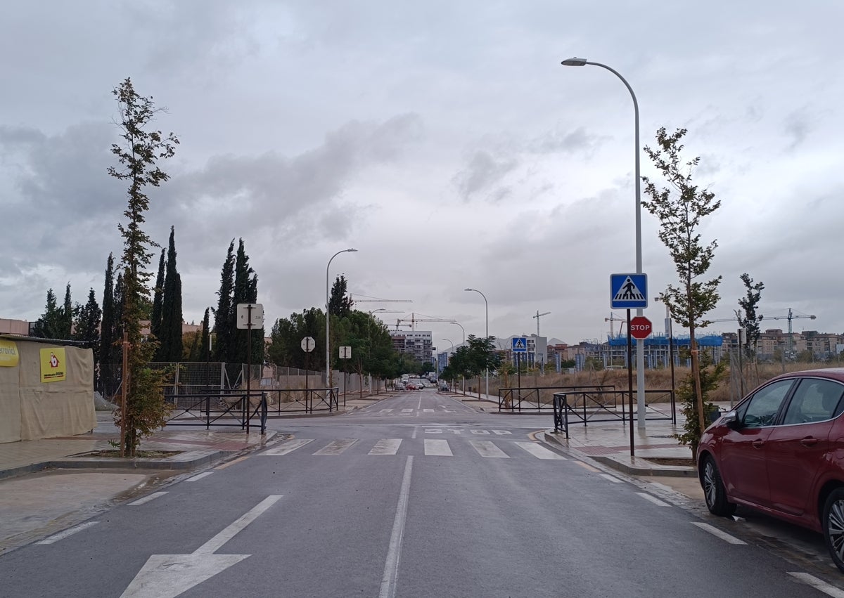 Imagen secundaria 1 - Nuevos viales en el entorno de Rosaleda.